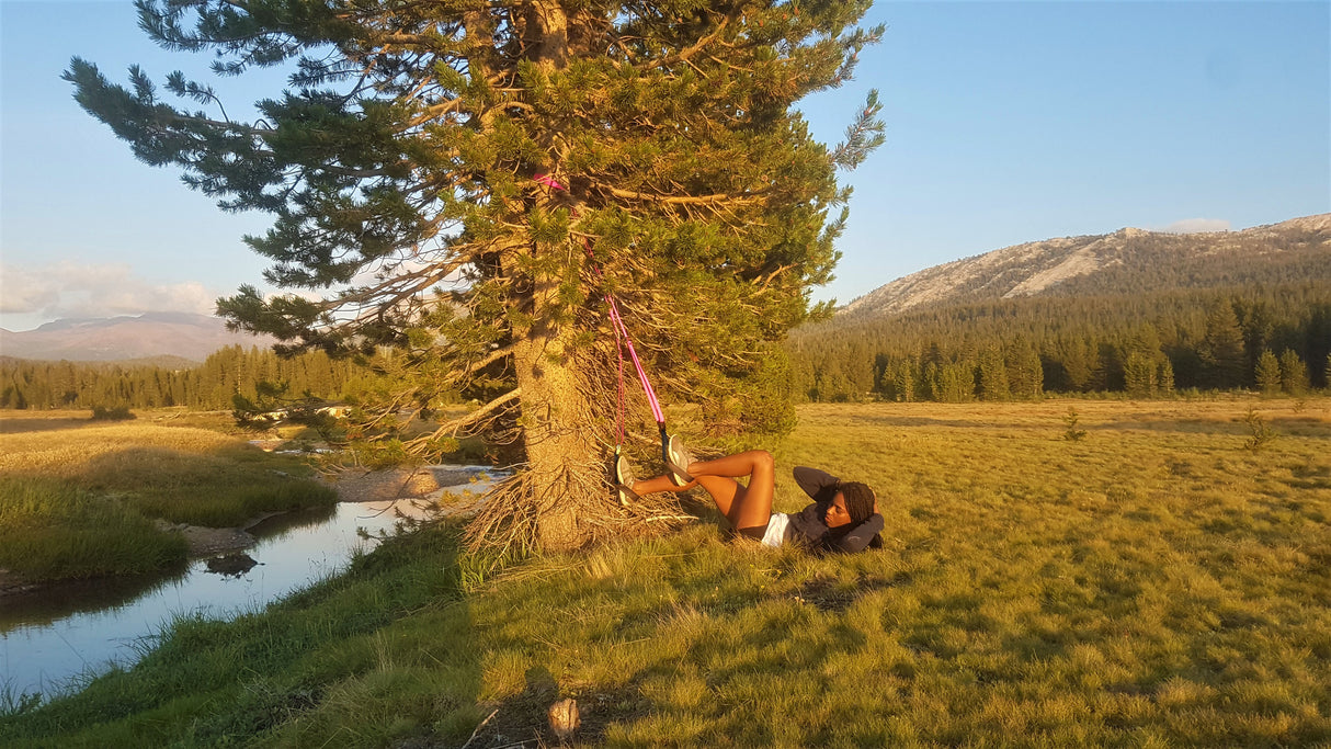 NOSSK TWIN Pro Suspension Fitness Trainer Yosemite in foot loops